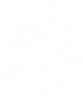Icon eines Botanicals